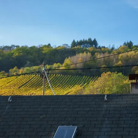 Ferienwohnung Grünberg House Traben-Trarbach Exterior foto